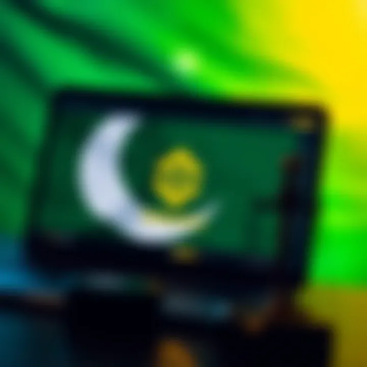Visual representation of Binance platform with Pakistani flag and legal symbols
