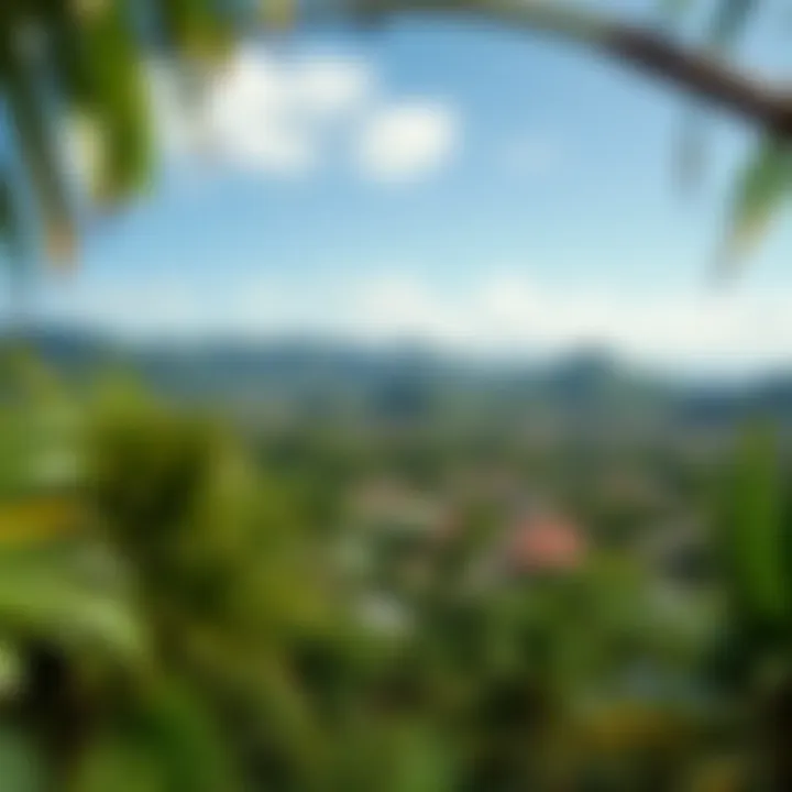 Tropical Surroundings of Kailua Town on Oahu Island Lush green landscape with tropical trees and hills surrounding Kailua town under a clear blue sky